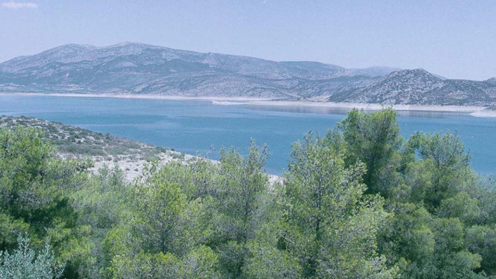 limni yliki